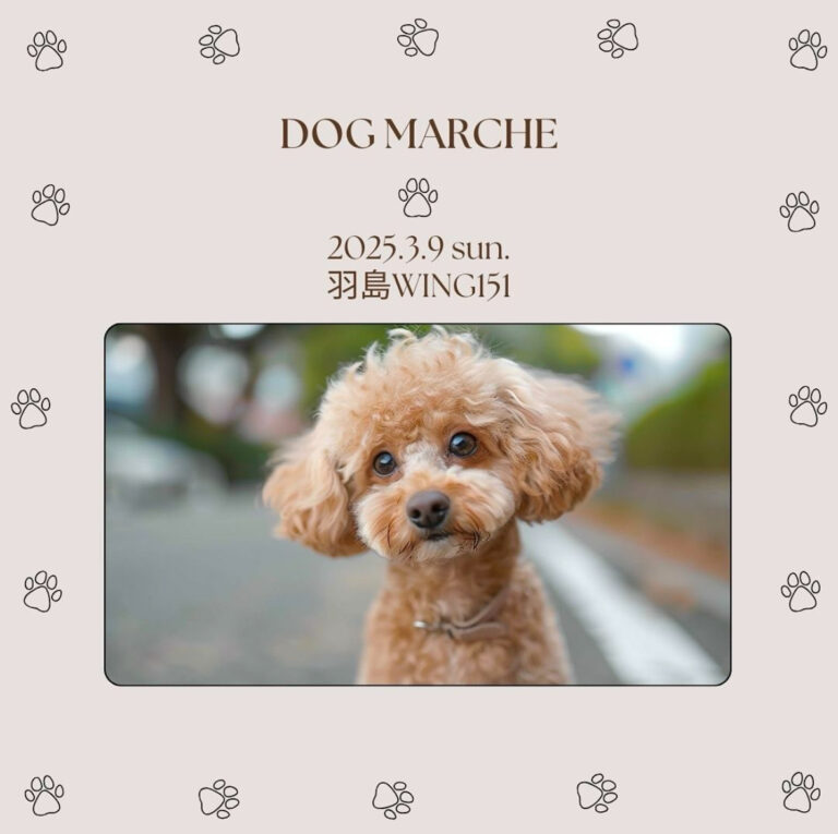 DOG MARCHE 羽島WING151 2025.3.9